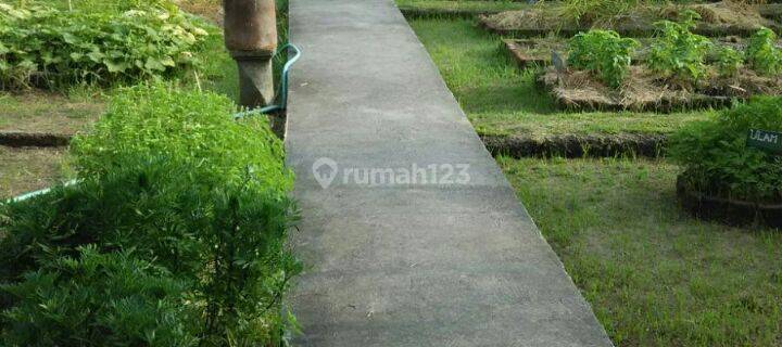 Villa for sale ubud bali 1