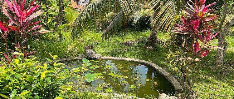 Big Land House For Rent Ubud Bali 1