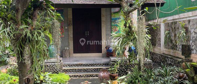 Rumah Furnished Saba, Gianyar Kontrakan 1