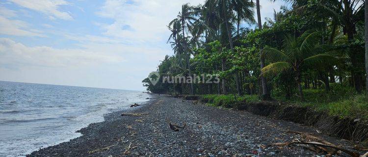 land beach front 1