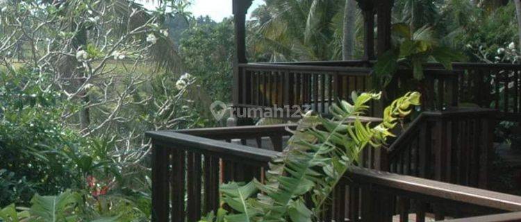  Balinese Style Villa 4 Units ,pinggir Sungai,42 Are 1