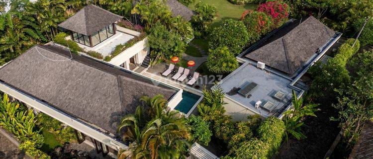 A House With A Green Garden In Padang Galak, Sanur 1