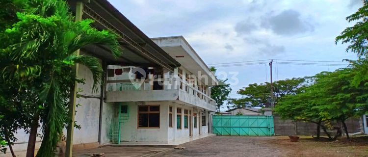 Gudang Disewakan di Semarang Jalan Raya Semarang Demak 1