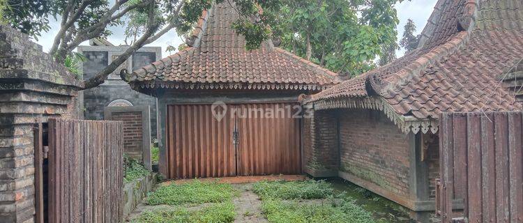 Rumah Villa Asri di Gemawang Bergas Jimbaran Bandungan 1