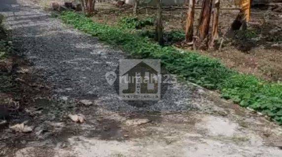 Tanah di Desa Pringapus Kabupaten Semarang 1