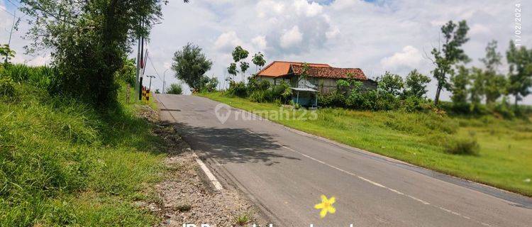 Tanah Sawah di Belun Temayang Bojonegoro Jawa Timur 1