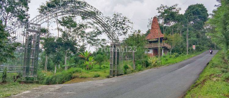 Tanah Kebun Kopi di Jalan Sumowono - Jambu Ambarawa 1