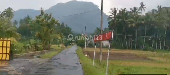 Tanah Sawah di dekat Wisata Muncul Ambarawa Kabupaten Semarang 1