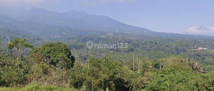 Tanah Pekarangan di Pasigitan Boja, Kota Semarang 1