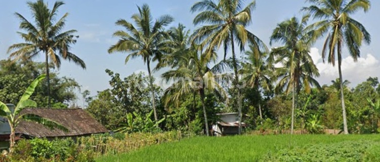 Tanah Bandungan View Gunung Dan Suasana Pedesaan 1