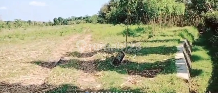 Tanah Perumahan Di Suruh Kabupaten Semarang 1