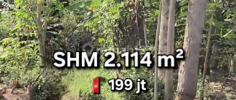 Tanah Pekarangan Di Pabelan Kabupaten Semarang 1