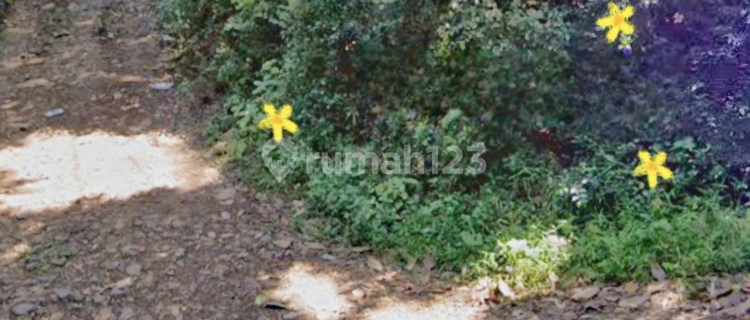 Residential Plot of Land Near Ngudi Waluyo Campus, West Ungaran 1