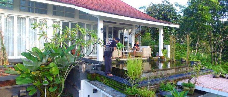 Rumah Cantik Asri dekat SMK Theresiana Sidorejo Salatiga  1