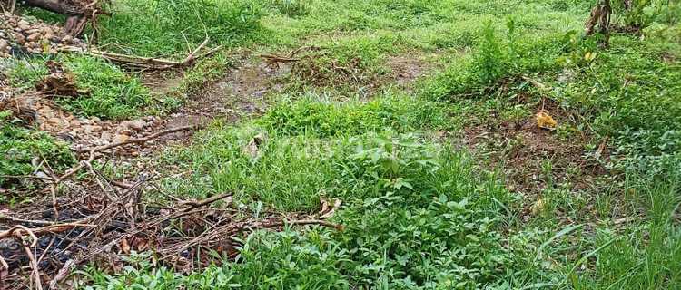 Land in Mangunsari, Gunung Pati, Semarang 1
