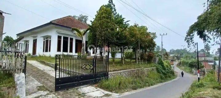 Rumah Kampung Luas Tanah 943m2 Siap Huni Tulus Besar Tumpang 1