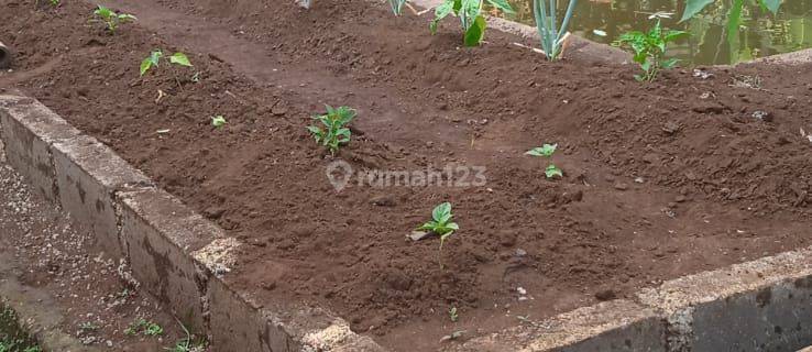 DiJual Tanah Cilembu Kecamatan Tanjungsari kab Sumedang  1