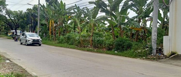 Tanah letak strategis rowosari raya meteseh tembalang ,cocok untuk indomaret point,alfamidi,superindo,cafe,gudang dekat dengan tol 1