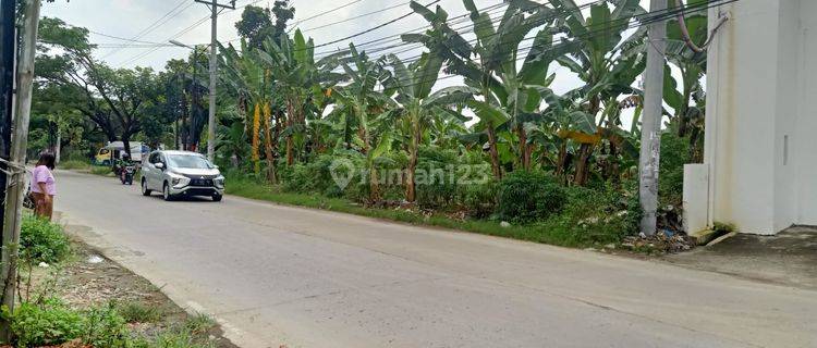 Tanah letak strategis di Rowosari raya jalan cor lebar,bebas banjir,cocok untuk kuliner,alfamidi,indomaret point,superindo. 1