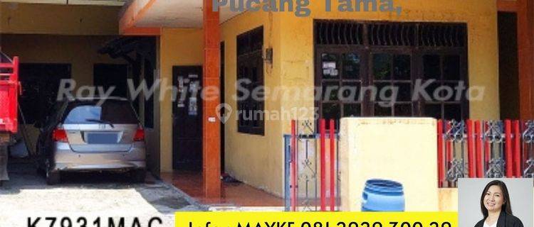 Rumah Di Daerah Pedurungan Dekat Jalan Raya Tlogosari 1