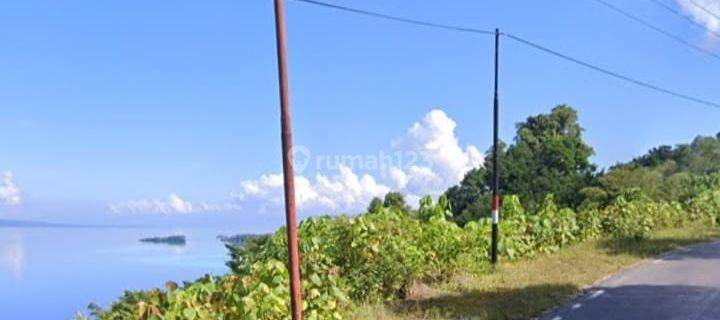Dijual Tanah SHM di Desa Saiyong Tinakung Luwuk Sulawesi Tengah 1