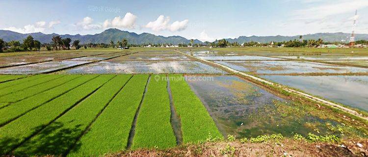 Jual Tanah Gorontalo 6 Km Dari Gorr Dekat Rumah Sakit Toto  1