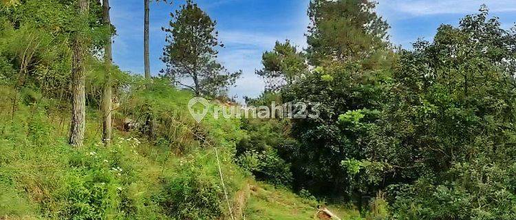 Jual Villa Dago Giri Murah Setengah Jadi View Dekat Wisata Dago 1