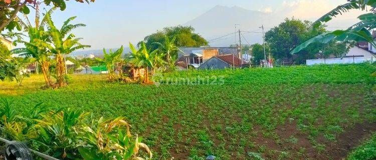 Kavling di Jalan Diponegoro Salatiga 1