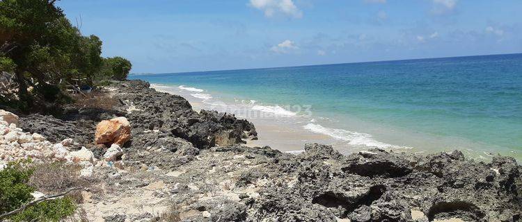 Dijual Tanah di Bibir Pantai Lambakara Timur Sumba Timur Ntt 1