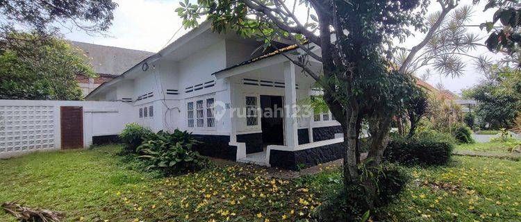 Disewakan Rumah Heritage Untuk Usaha Kuliner 1