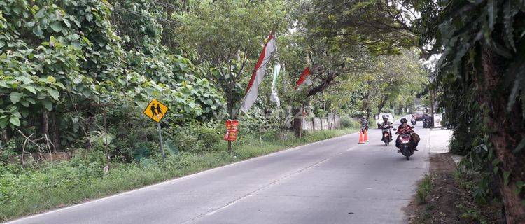 Tanah Murah Luas 5000m di Sendangmulyo Raya, Semarang 1