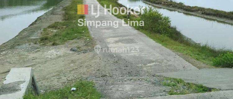 Dijual Tanah Tambak Bulusan Karangtengah Sayung Demak 1