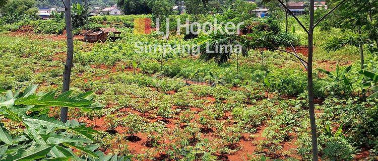 Tanah di Desa Gringsing, Batang Cocok Dibangun Gudang Produksi 1