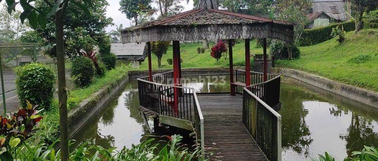 Murah & Lokasi Bagus. Tanah Dan Bangunan 1,4 Ha Di Jl. Raya Cisarua, Puncak, Bogor, Jalan Raya, Bisa Bangun Hotel, Villa, Restaurant  1