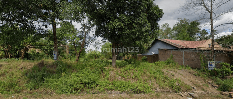 Tanah di Sekitar Samata, Pattallassang , Gowa 1