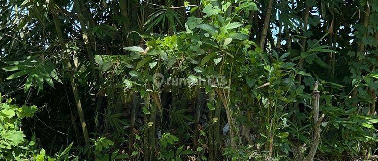 Dijual Tanah sekitar Pallangga, Gowa 1