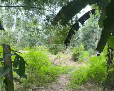 Dijual Tanah sekitar Pallangga, Gowa 1