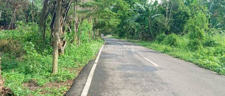 Tanah di Makassar Sekitar Antang, Nipa Nipa, Manggala, Makassar 1