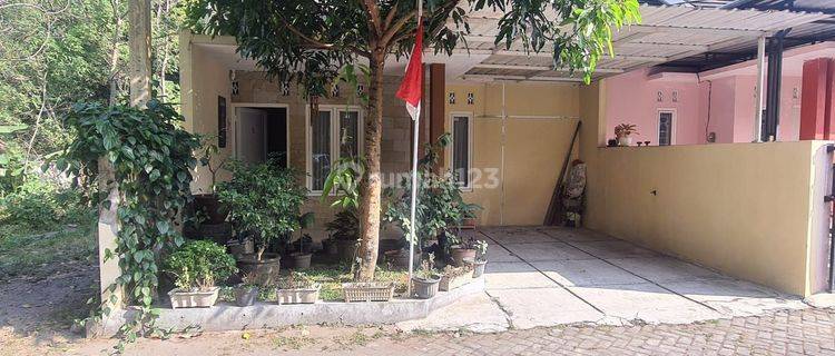 Rumah Second Dijual Cepat Di Jakal Km 13 Dekat Al Azhar 1