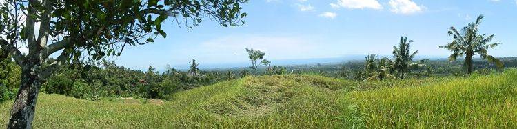 North Bali Panji farm land (NB-L033) 1