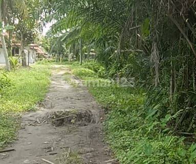 Dijual Cepat Tanah di Pinggir Jalan nurmen  1