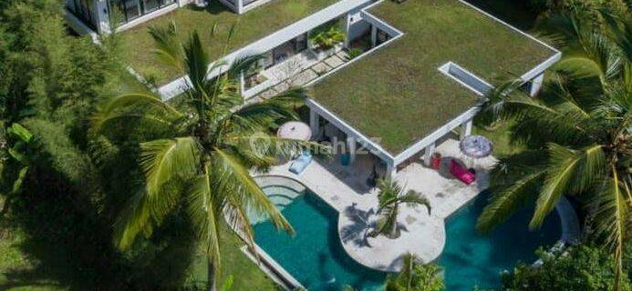 Jual Villa Cantik Ubud Gianyar Bali Nyaman Dan Luxury Villa Wl 1