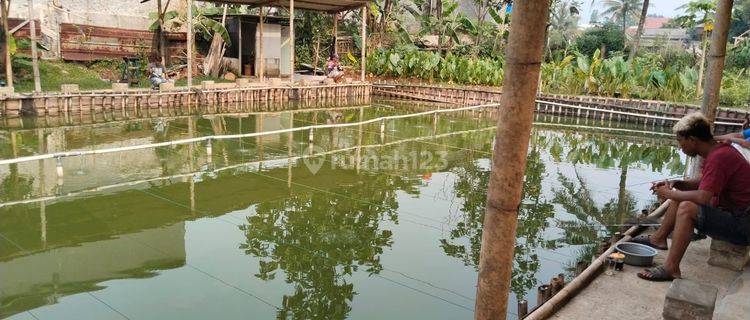 Dijual pemancingan masih aktif/buka akses mobil di pondok Rajeg Cibinong  1