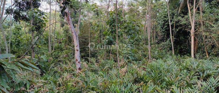 Dijual Tanah Siap Bangun Akses 2 Mobil Di Tasikmalaya 1
