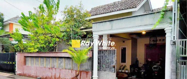 Dijual Rumah Gentan siap huni dekat Luwes 1