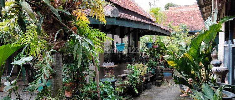 Rumah Kost di Sagan Dekat Kampus Ugm Yogyakarta 1