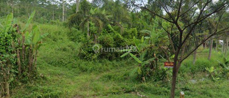 Tanah Luas 1 Ha di Secang Magelang Jawa Tengah 1