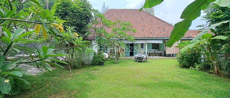 Rumah Heritage Kotabaru Yogyakarta Cocok Untuk Cafe 1