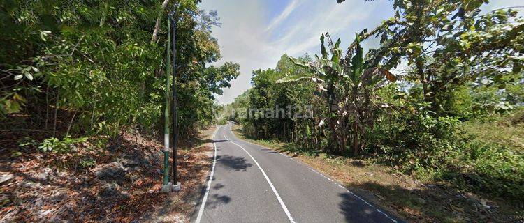 Tanah Luas 2,6 Ha di Jalur Jalan Lintas Selatan Yogyakarta 1