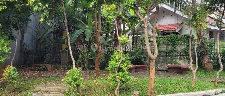 Rumah Depan Taman Murah Hitung Tanah Di Griya Loka Bsd Cocok Untuk Kos Kosan 1